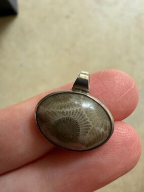 Petoskey Pendant